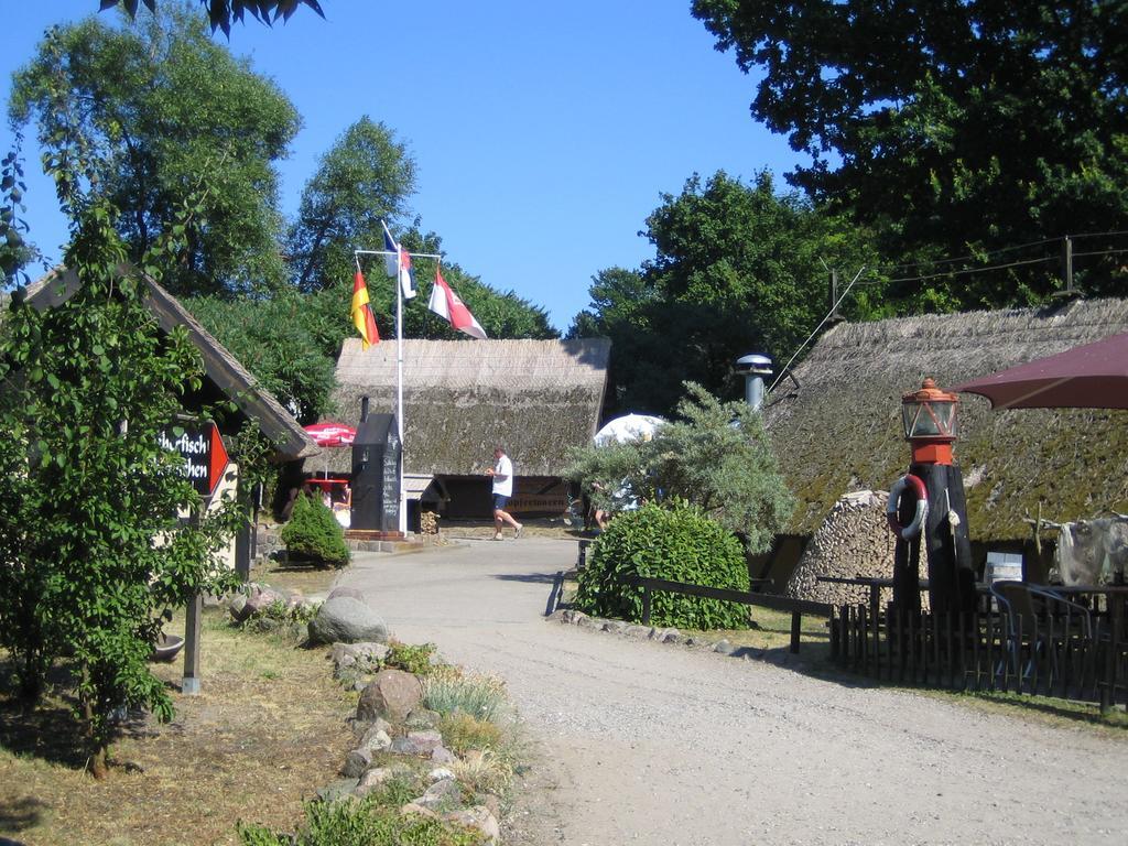 Am Kuestenwald Koserow Ngoại thất bức ảnh