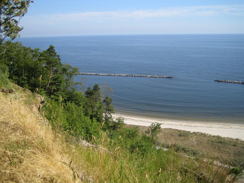 Am Kuestenwald Koserow Ngoại thất bức ảnh
